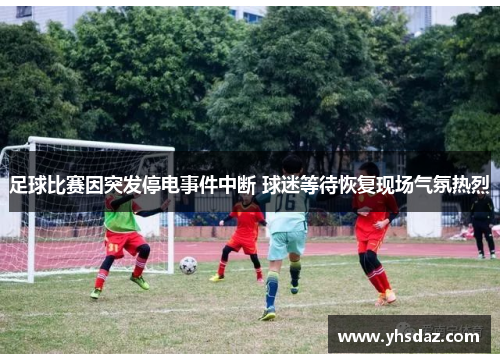 足球比赛因突发停电事件中断 球迷等待恢复现场气氛热烈