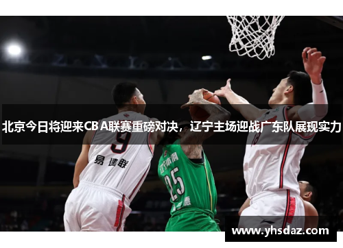 北京今日将迎来CBA联赛重磅对决，辽宁主场迎战广东队展现实力